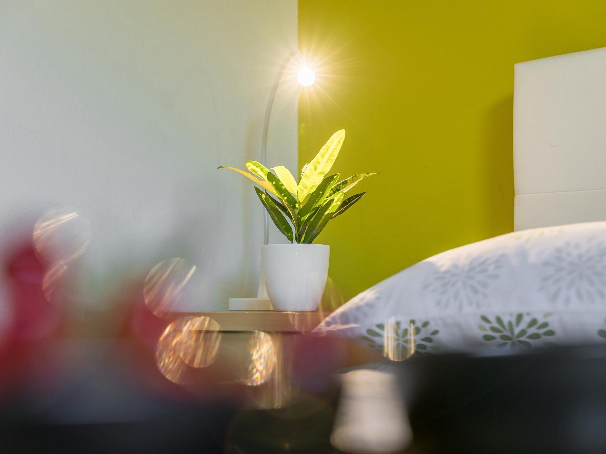 Apartments Aida بوريتش المظهر الخارجي الصورة